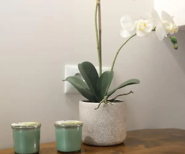 Calma * Skála Foúrkas